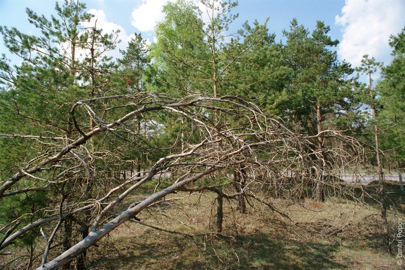 ����-�����