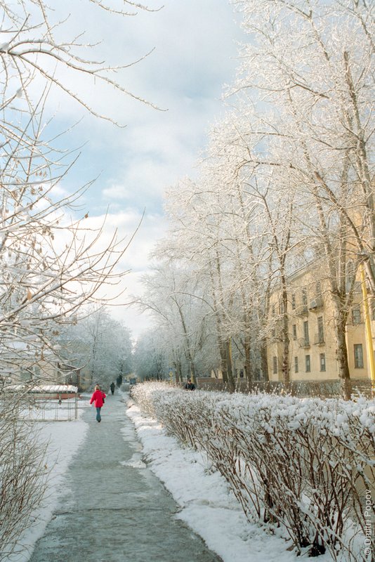 ����� ����