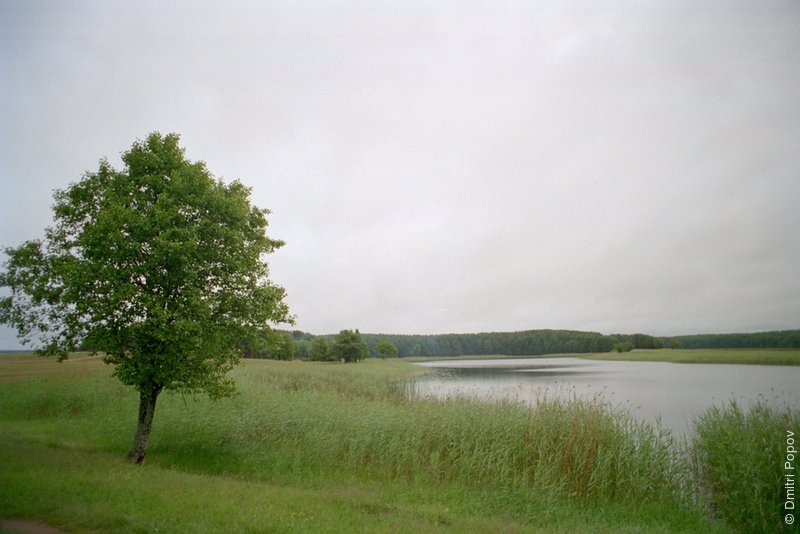 http://www.popov.org/photo/9055/lake-tree-19.3.jpg